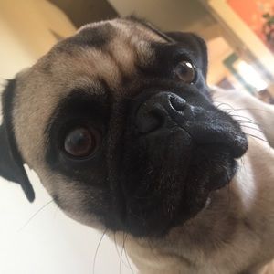 Meet your Posher, Mark